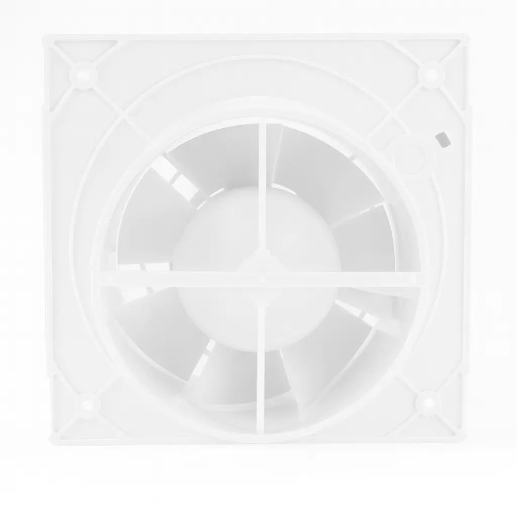 ChatGPT Image 20 ago 2025, 12_19_59 p.m..webp